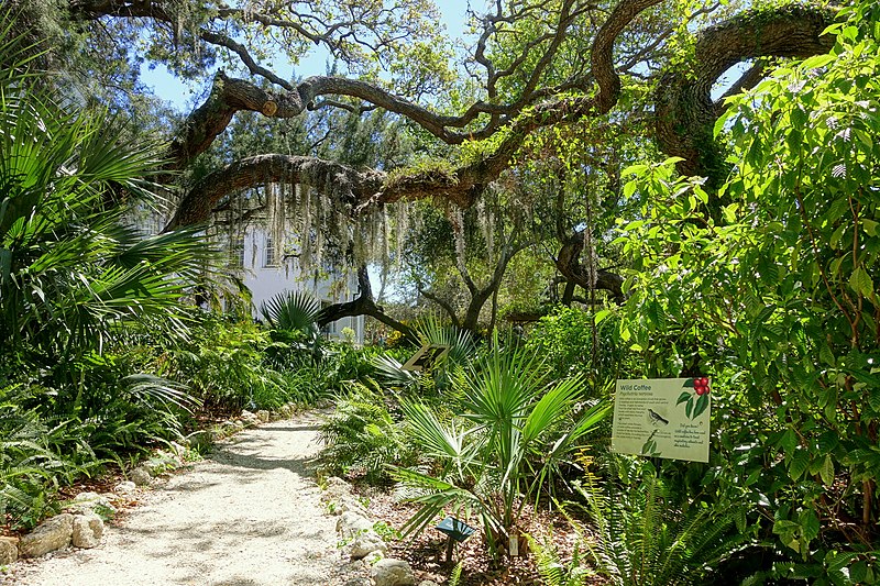Visitar Orlando Florida: Jardín Botánico de Florida Central